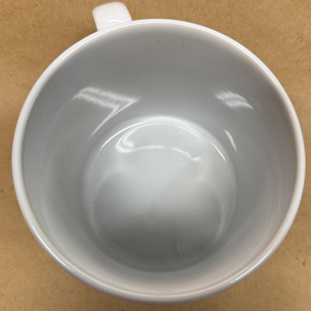 Starbucks City Mug Series Dallas Mug NIB-1994